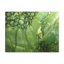 Green Organza postcards