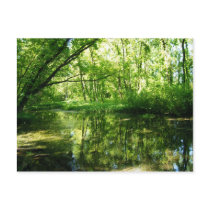 Green Outlook Postcard