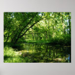 Green Outlook Print