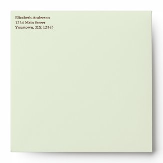 Green Owl Baby Shower Envelopes envelope