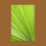 Green Palm Frond Wrapped Canvas Print canvas prints