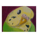 Green Parakeet posters by nature_art Green Parakeet posters
