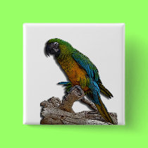 Green Parrot alone button buttons
