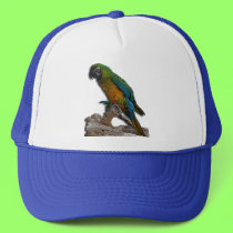 Green Parrot alone hat