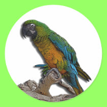 Green Parrot alone stickers