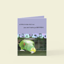 Green Parrot  Birthday Greetings cards