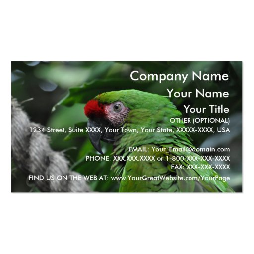Green Parrot - business card template (front side)
