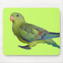 Green Parrot mousepads