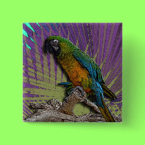 Green Parrot & Palms button buttons