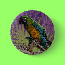 Green Parrot & Palms button buttons