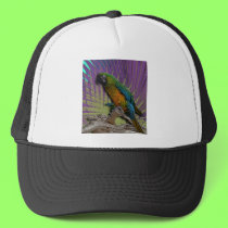 Green Parrot & Palms hat
