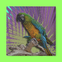 Green Parrot & Palms magnet magnets