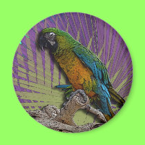 Green Parrot & Palms magnet magnets