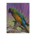 Green Parrot & Palms postcard