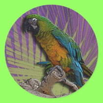 Green Parrot & Palms stickers stickers