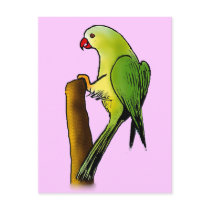 Green Parrot postcards