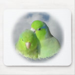 Green parrotlet pair mousepads