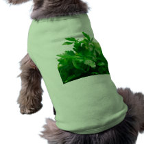 Green Parsley Dog T-Shirt pet clothing by gavila_pt Green Parsley Dog T-Shirt pet clothing