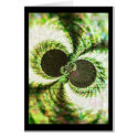 Green Path Mosaics 3 cards