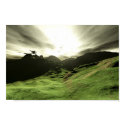 Green Path posters by Orbitol Green Path posters