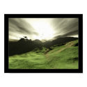 Green Path posters