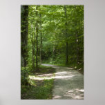 Green Paths 13 Poster