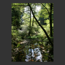 "Green Peace", Muir Woods posters