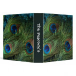 Green Peacock Feather binders