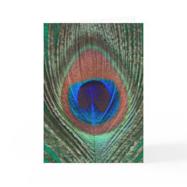 Green Peacock Feather Greeting Card