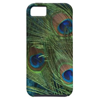 Green Peacock Feather iPhone 5 Case