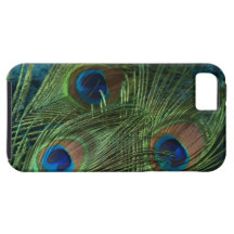 Green Peacock Feather iPhone 5 Case