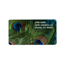 Green Peacock Feather Custom Address Labels
