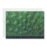 Green Peacock Feather Party Invitation