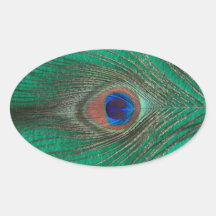 Green Peacock Feather Stickers