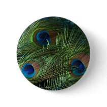 Green Peacock Feathers Buttons