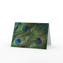Green Peacock Feathers Greeting Cards