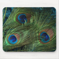 Green Peacock Feathers Mouse Pad