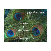 Green Peacock Feathers Save the Date Postcard