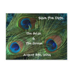 Green Peacock Feathers save the date wedding postcard