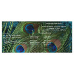 Green Peacock Feather Wedding Programs