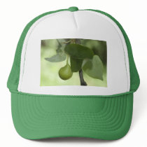 Green Pear hats