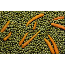 Green peas and carrots photo sculpture