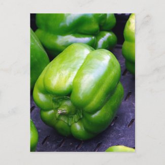 Green Peppers postcard