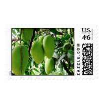 Green Philippine Mangoes postage