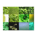 Green Photo Collage Post Card