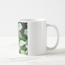 Green & Pink Cymbidium Orchid Mug