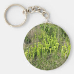Green pitcher plant bog (Sarracenia oreophila) Keychains