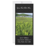Green pitcher plant (Sarracenia oreophila) Personalized Rack Card