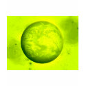 Green Planet t-shirts