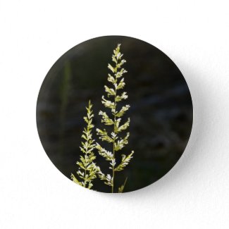 Green Plant Button